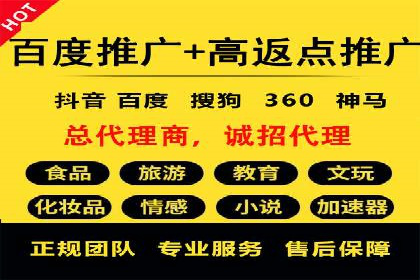 百度广告投放策略：成功案例解析